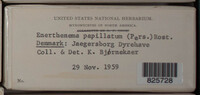 Image Associated With the Occurence